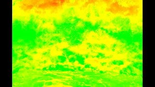 Ngā pūkenga ā-waha